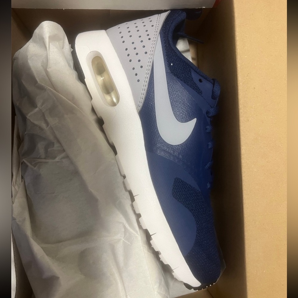 Nike Navy and White Air Max Sneakers